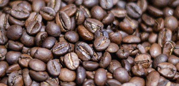 Kaffee­maschinen bei Elektro Emmerich GmbH in Neuenstein Raboldshausen